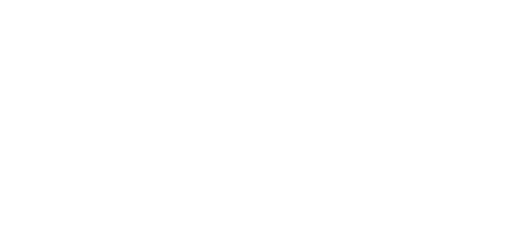 WITT Series 1