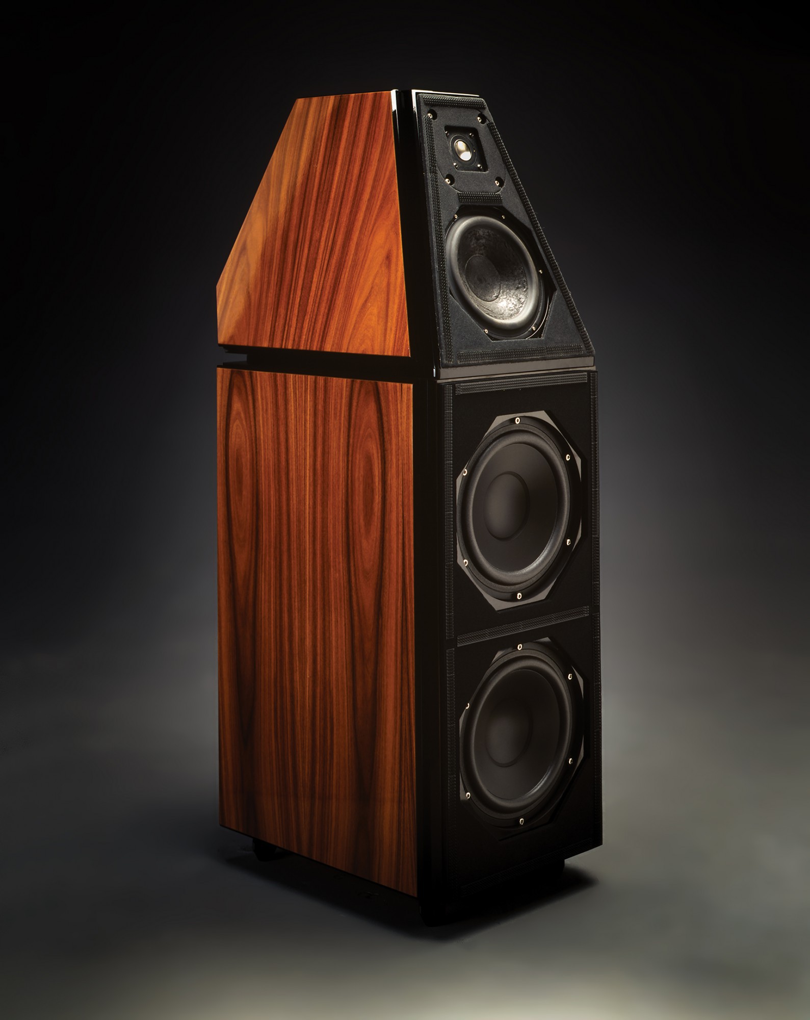 WATT-Puppy-Rosewood-Series-5___responsiv